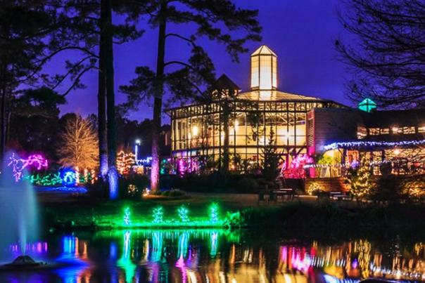 TTD December 2025 Banner