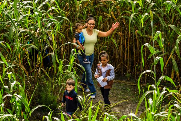 Gallberry Farms Mom and Kids