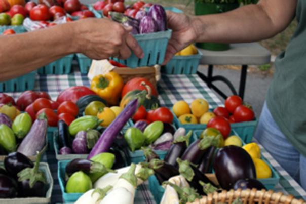fresh-produce-at-a-farmers-market-in-the-finger-lakes
