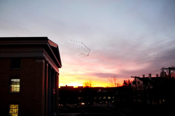 ontario-county-courthouse-sunset