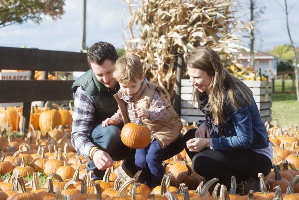 Pick'N Patch - Family with pumpkins