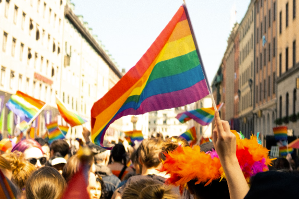 Pride Parade Flag