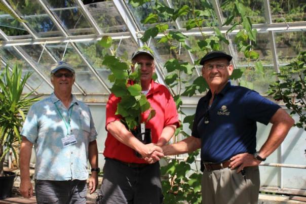 Isabella grapevine from Arbor Hill Winery is presented to Sonnenberg Gardens
