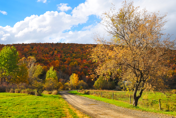 fall road fb