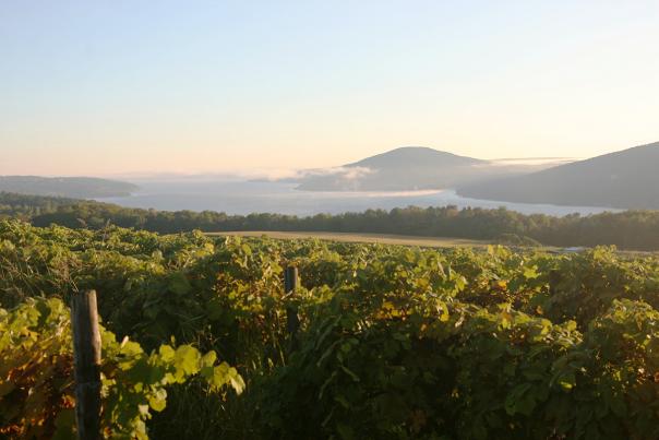 finger-lakes-county-road-12-scenic-vineyards.jpg