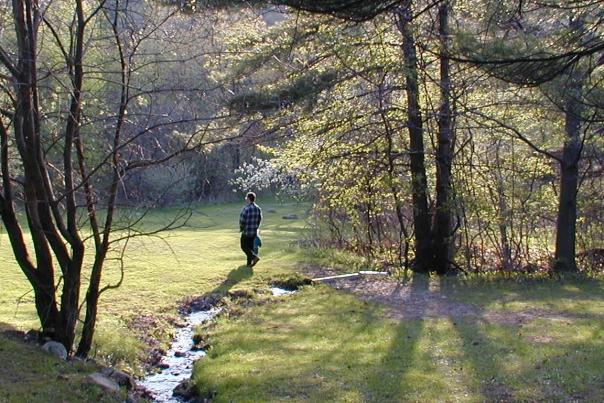 Person walking over a small creek with trees and open land on the Gell Center property located in Naples NY