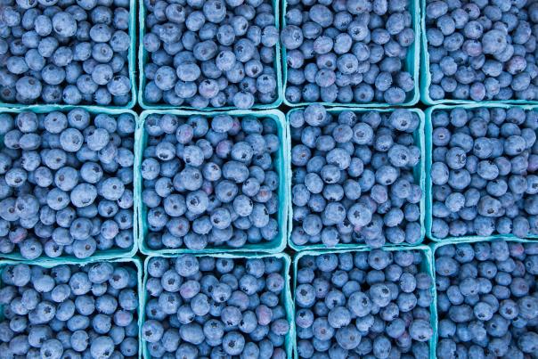Victor Farmers Market Blueberries