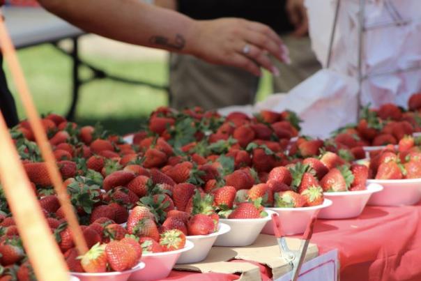Palm Coast Strawberry Fest