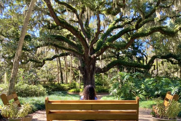 washington oaks gardens state park