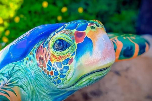 turtle trail art