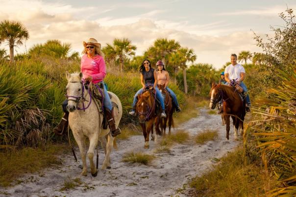 Equestrian Adventures - Miko