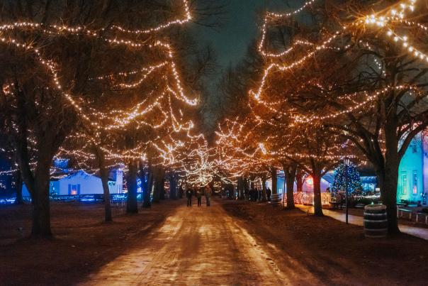 Lit trees line a path during the holidays at Crossroads Village.
