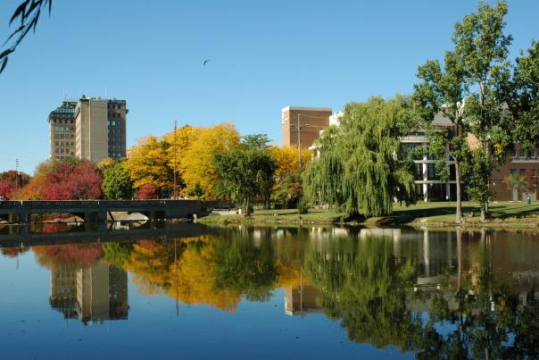 Fall Colors