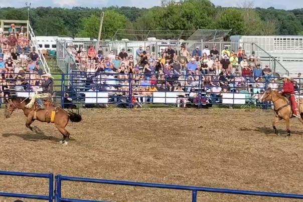 Scene of a cowboy riding a bucking horse in front of a crowd seated in stands.