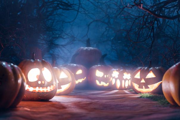 A collection of Jack-o-lanterns lit up in a darkened woods.