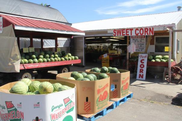 Locally grown watermelons and sweet corn for sale at a farm market in Genesee County, Michigan.