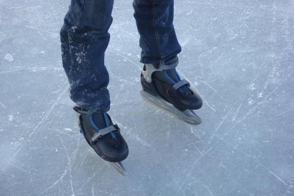 Ice Skating in Flint & Genesee