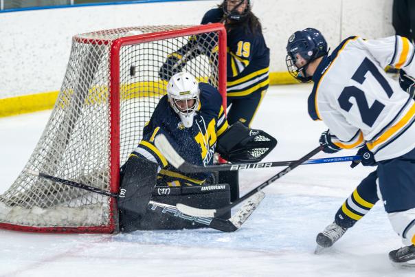A hockey player takes a shot on goal, as the goalie tries to stop it.