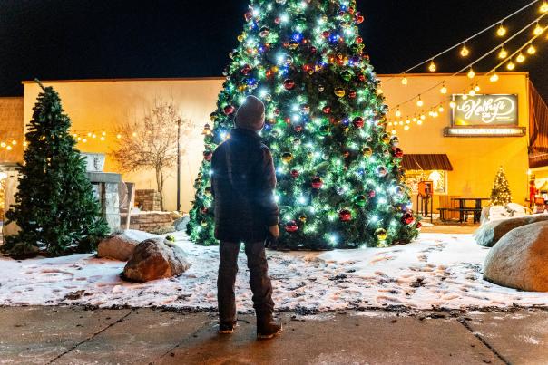 An image of a child standing before a Christmas tree in downtown Flushing.