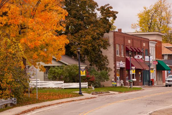 Fall colors adorn the trees in downtown Goodrich with Cranberries Cafe and other businesses in the background.