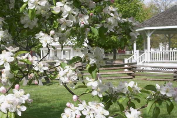 crossroadsSpring_DOSMeetingInvite