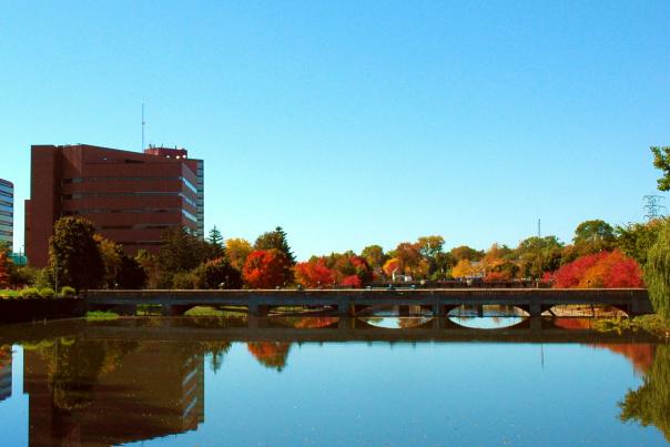 fall in flint