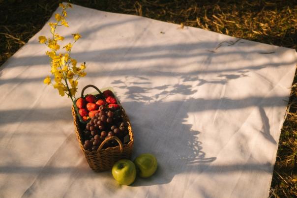 Fruit in a basket on a white blank