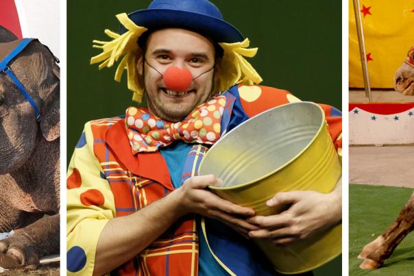 see_circus2