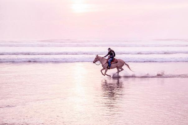 Horseback riding
