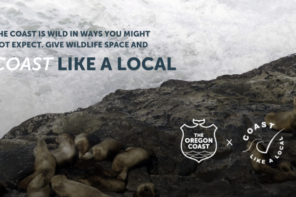 Coast Like a Local - OCVA
