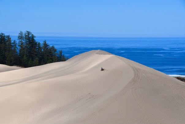 Sand Dune - Rider - Ocean