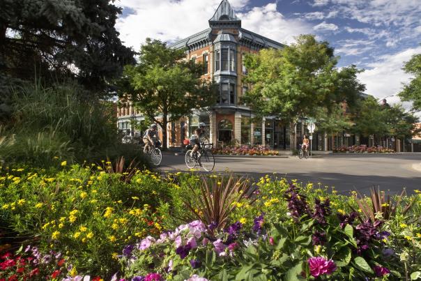 Old Town Linden Hotel, Flowers, Bikes