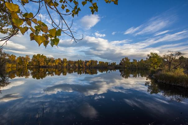 Fall in Fort Collins