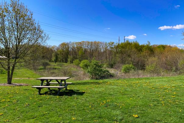 Metea Park Trailhead Picnic Area