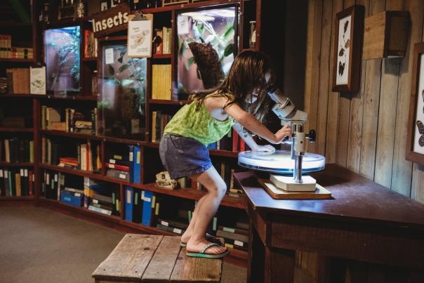 Dr. Discovery Exhibit at the Fort Wayne Children's Zoo