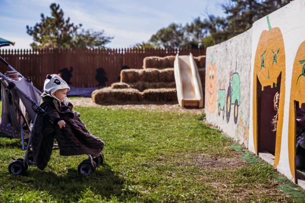 Baby in stroller watching siblings play at Hilger's Farm in Fort Wayne, Indiana.