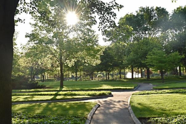 Morning in Headwaters Park