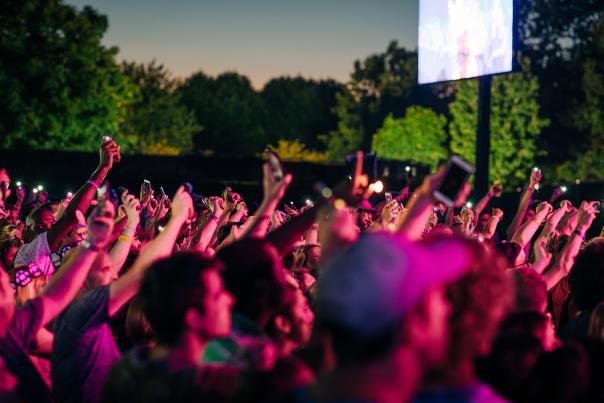 A crowd of people with their hands in the air at a music festival