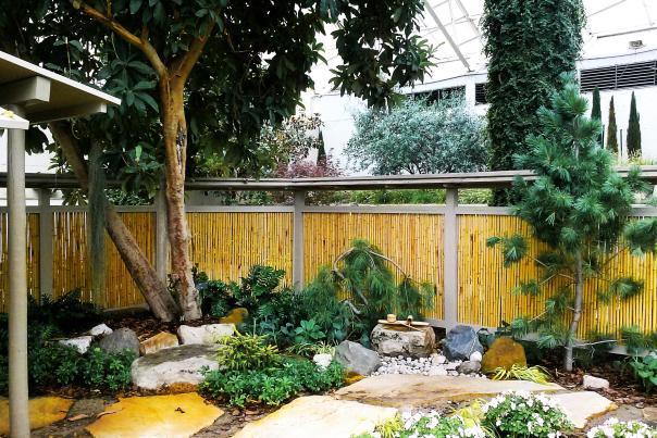 Japanese Garden Botanical Conservatory