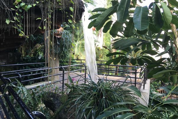 Posts In Botanical Garden Fort Wayne Fort Wayne Insider Blog