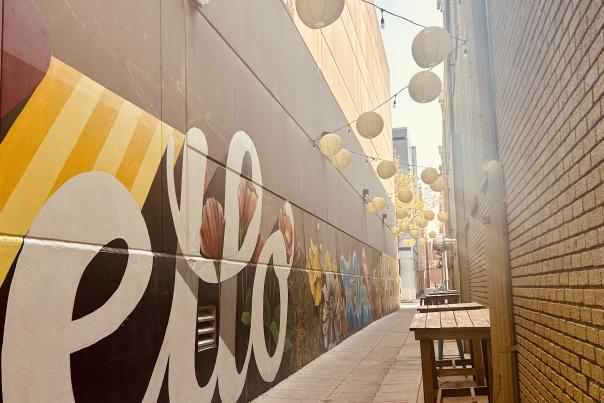 One of Fort Wayne’s alley ways with a mural and lights