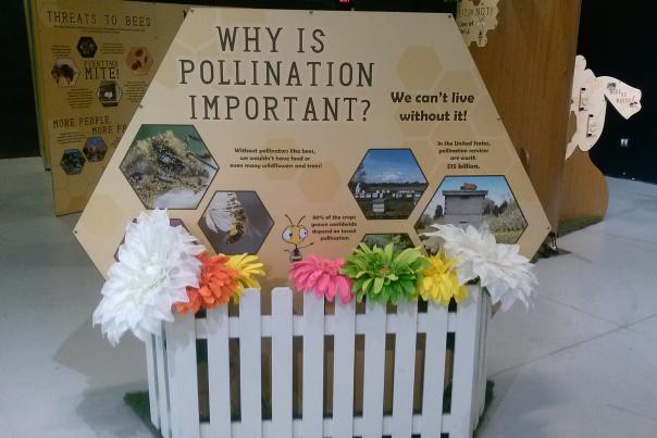 Pollination Exhibit - Science Central