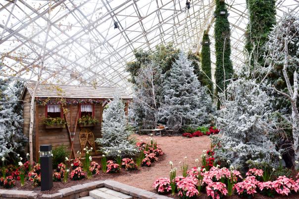 Botanical Conservatory Snow Days