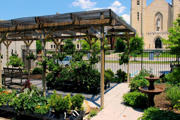 Botanical Conservatory Terrace