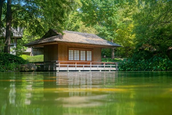 Japanese Garden