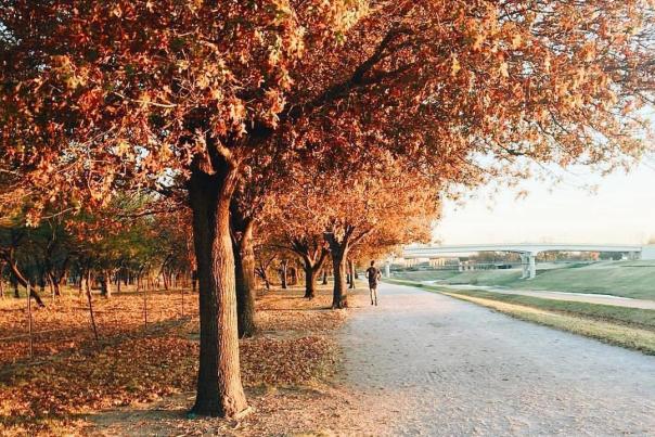 Fall at Clearfork