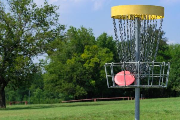 A Flying disc lands perfectly in a local Disc Golf Course