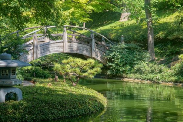 Fort Worth Botanic Garden - Japanese Garden