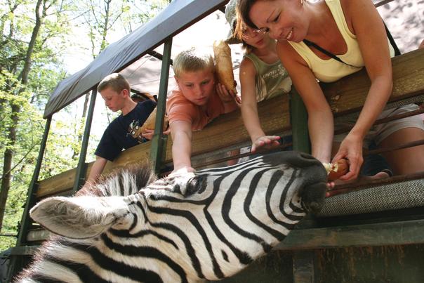 Catoctin Zoo Safari