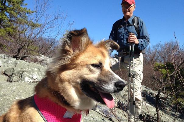 Dog and Hiker in Frederick